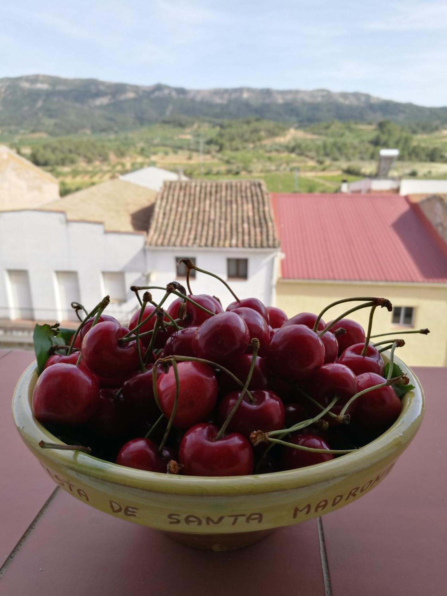 Apartaments Els Temporers Corbera Extérieur photo